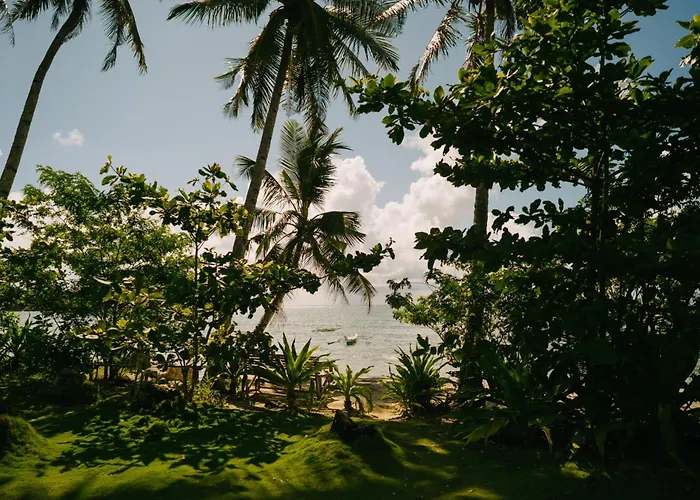 Coconut Suite