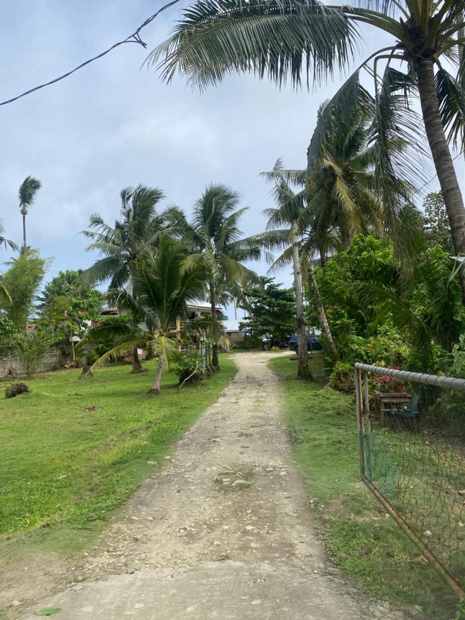 Holiday home Coconut *