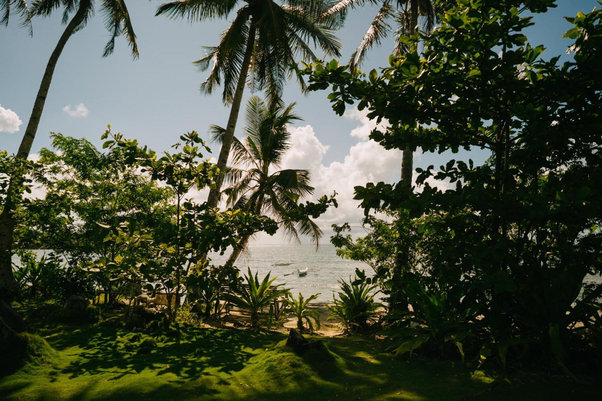 Coconut Holiday home *